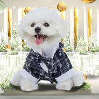 Pet Wedding Tuxedo Suit Multiple Styles Formal Gentleman Costume with Bow Tie for Small Dog Party Ceremony Photo Shoot L