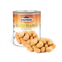 Sūdyti žemės riešutai SALYSOL, 60g, GRASAY450_05910