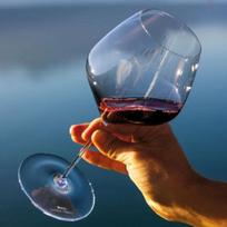 Taurė Riedel VELOCE Pinot Noir/Nebbiolo, PUORID9006206324293