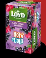 Vaisinis arbatos gėrimas LOYD HOT&COLD, VZTLOY5900396036339