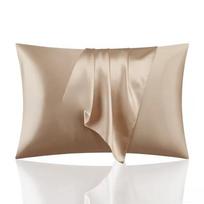 Silk Pillowcase Set of 2, Soft Breathable Mulberry Silk Pillow Cover for Hair and Skin, Luxury Zippered Pillow Case for 1set 51x66cm