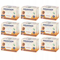 Vandens filtrų kasetės Aquaphor Maxfor+ H kietam vandeniui, 9 vnt.