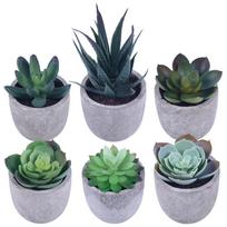 6 Pcs Artifical  Succulents  Potted  Plants Realistic Simulation Plants Practical Home Office Desk Ornaments For Indoor Outdoor Decoration ES0853-1 6 packs #1