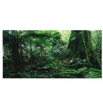 PVC roplių dėžė atogrąžų miško fono plakatas žuvų akvariumo sienos paveikslas tapyba dekoracija lipnus lipdukas(61*30cm ) gray