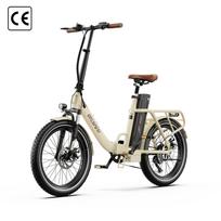 ONESPORT OT16 PRO Elektrinis dviratis Sulankstomas 250W Variklis 20*3.0 Colio Padanga 48V17AH Nuimama Baterija Bluetooth LCD Ekranas 25KM/H Greitis Elektrinis Dviratis balta
