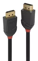 Lindy 36516 DisplayPort kabelis 1 m Juodas