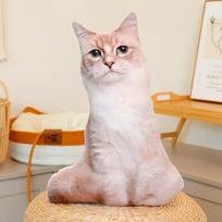 Mieli Realistiški 3D Katės Pliušiniai Žaislai Iškamša Minkštas Gyvūnas Lėlė Simuliacija Miego Pagalvė Sofa Pagalvėlė Animacinis Lėlė Namų Dekoracija Dovana 48cm