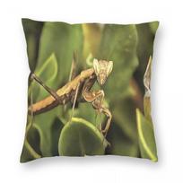 Praying Mantis Portrait Insect Square Pillowcase Polyester Linen Velvet Creative Zip Decorative Car Cushion Cover x 40cmx40cm(16x16Inch)