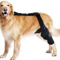 šuns kojos įtvaras plyšusiam kryžminiui raiščiui Pet Dog Knee Pad, šuns sąnario kojos apsauga, šuns reabilitacijos apsauginė įranga alkūnės hygromos apsauga black