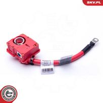 Akumuliatoriaus adapteris ESEN SKV 96SKV309