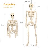 Žmogaus skeletas su pilno kūno lanksčiais sąnariais Plastikinis skeletas Helovino dekoracijoms Sodo kiemo Skeleto rekvizitai Baisiai vakarėlio dekoracija 1pcs beige