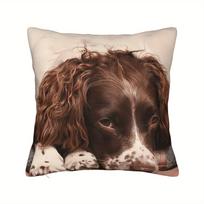 English Springer Spaniel DogThrow Pillow Cover Double Sided Print Cushion Case Pet Lovers Gift Living Room Couch Sofa Home Decor 40cmx40cm(16x16Inch) beige