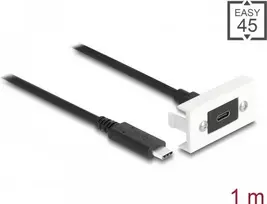 DeLOCK Easy 45 modulis USB Type-C moteriška į kištukinį 1m, USB 3.2 Gen 2, 10Gbps