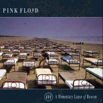 CD Pink Floyd - A Momentary Lapse Of Reason (naudota)