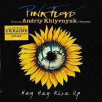 CD Pink Floyd Featuring & Andriy Khlyvnyuk* - Hey Hey Rise Up (naudota)