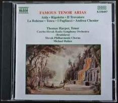 CD Ruggiero Leoncavallo, Giuseppe Verdi, Giacomo Puccini, Umberto Giordano, Amilcare Ponchielli - Famous Tenor Arias. Aida. Rigoletto. Il Trovatore. La Bohème. Tosca. I Pagliacci. Andrea Chenier (naudota)