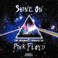 CD Various - Shine On: The Ultimate Tribute To Pink Floyd (naudota)