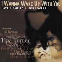 CD Various -  I Wanna Wake Up With You (naudota)