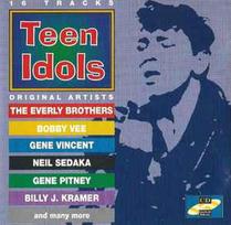 CD Various - Teen Idols (naudota)