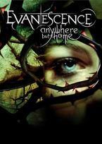 DVD+CD Evanescence – Anywhere But Home (naudota)