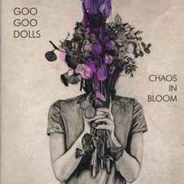 CD Goo Goo Dolls - Chaos In Bloom