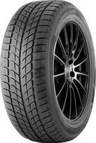 215/55R18 DOUBLESTAR DW09 95H DOUBLESTAR Žieminės padangos