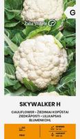 Kopūstai žiediniai skywalker h