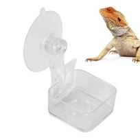 Chameleon Food Bowl Reptile Feeder With Suction Cup Habitat Decoration Pet Water Container Tray For Lizards Spider Tree Frogs white