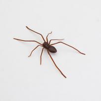 1Pcs Funny Prank Horror Magnetic Decor Big Spider Fridge Magnet For Kitchen Whiteboard And Locker Multi-Scene Decoration A3 white