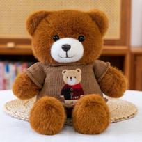 Naujas mielas megztukas meškiukas pliušinis žaislas meškiuko lėlė mergaitės lėlė pliušinė pagalvė-antklodė meškinas Teddy 3OcmO.22kg rožinė