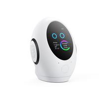 Universal AI Bluetooth Smart Speaker: Multi-language Toy for Domestic and International Use balta