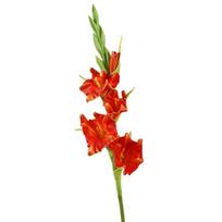 PU Artificial Gladiolus Branches Real Touch Floral Art Simulation Gladiolus Flower Handmade Fake Flowers Outdoor Garden Decor