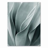 Palm Leaves Plant Art Canvas Painting Aloe Botanical s And Prints Modular Wall Pictures For Living Room Home Decoration 21X30CMNo Framed gray