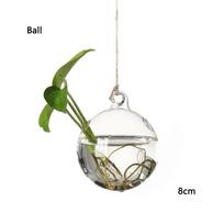 Garden Supplies Hydroponics Home Decoration Terrarium Container Plant Pot Hanging Glass Glass Vase Ball(8cm)