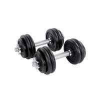 SONGMICS 2-in-1 Dumbbells Set, 2 x 15 kg Cast Iron Adjustable Weights, with Extra Steel Barbell Bar, Fitness Training, Weight Lifting, at Home Gym juoda