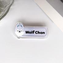 Stray Kids SKZOO Acrylic Name Badges Cartoon Character Brooch Pins Cute Kpop Fan Support Clothing Bag Decorative Gift 1 white