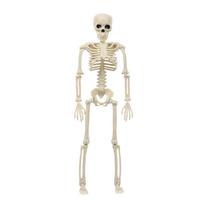 Pasidaryk pats vakarėlio dekoracija Lauko baisūs rekvizitai Žmogaus skeletas Judinamas Dydis Helovino renginys ir vakarėlis beige