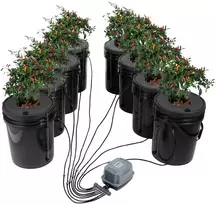 Hidroponinė gilaus vandens auginimo sistema DWC, 20 l, su oro siurbliu