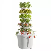 Hidroponinis auginimo bokštas, 30 lizdų, 20 l talpa, su LED lempa