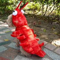 and cat Lobster Costumes, Pet Halloween Christmas Cosplay Dress, Costume, Animal Warm XL red
