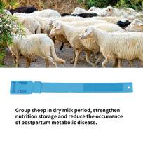 10Pcs Goat Collar Sheep Identification Bands Livestock Marking Ring Farming Equipment 36cm Blue