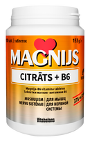 VITABALANS B6 vitaminas + Magnis, 100 tablečių