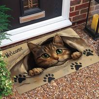 Welcome Cat Mat, Lightweight Rectangular Area Mat for Entryways, Porch, Garden, Laundry Room, Bathroom 40*60cm gray