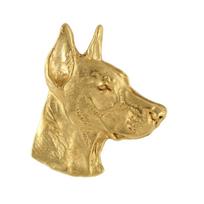 Sagė Dobermanas, auksinės spalvos