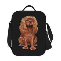 Cavalier King Charles Spaniel Tote Bag - Cute Dog Breed with Adorable Cavalier King Charles Spaniel Print, Handbag Suitable for One-size brown