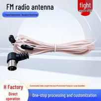 FM radijo vidaus antena su signalo stiprintuvu geresniam priėmimui FM Antenna