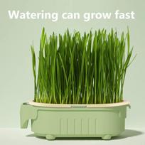 Organic Cat Grass Planter Kit Hairball Relief Natural Digestive Aid Grow Your Own Cat Grass Bowl Set Not Include Seed black