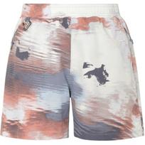 Nike ACG 'Reservoir Goat' Casual Shorts Men's Gray Slate Blue FN2475-493 XXL gray