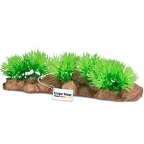 Akvariumo augalų dekoracija Kruger Meier 20x6x4,5 cm