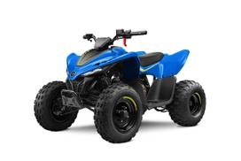CFMOTO CFORCE 110 BASIC vaikiškas keturratis